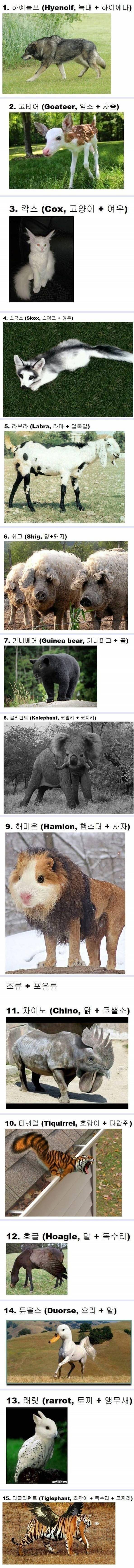 f1c75f3ad067985ae35b62ab6e0c0975_1589407677_9452.jpg f1c75f3ad067985ae35b62ab6e0c0975_1589407677_9452.jpg