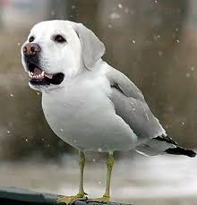 f1c75f3ad067985ae35b62ab6e0c0975_1589407706_4344.jpg f1c75f3ad067985ae35b62ab6e0c0975_1589407706_4344.jpg