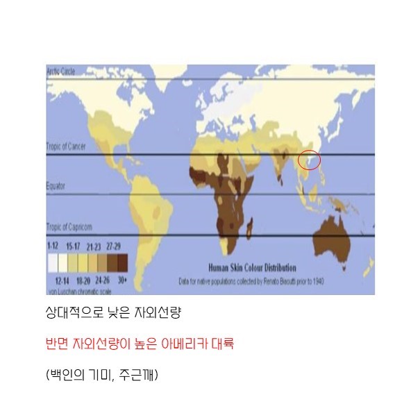 b227d37f2345d9c5d71e8fb40de8da6c_1612799928_9389.jpg b227d37f2345d9c5d71e8fb40de8da6c_1612799928_9389.jpg